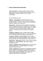 Konspekts 'Audita pamati', 3.