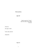 Prakses atskaite 'Prakses pārskats parādu piedziņas uzņēmumam', 1.