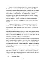 Prakses atskaite 'Prakses pārskats parādu piedziņas uzņēmumam', 21.