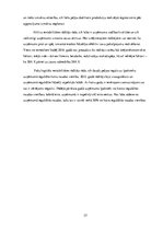 Prakses atskaite 'Prakses pārskats parādu piedziņas uzņēmumam', 27.