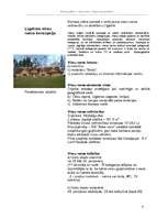 Biznesa plāns 'Viesu nams', 4.