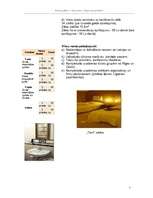 Biznesa plāns 'Viesu nams', 5.