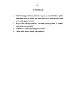 Prakses atskaite 'Uzņēmuma vide un ārējā komunikācija', 16.