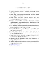 Prakses atskaite 'Uzņēmuma vide un ārējā komunikācija', 17.