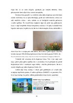 Referāts 'SIA "Sakret" krāsas', 16.