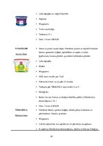 Referāts 'SIA "Sakret" krāsas', 20.