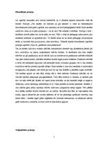 Konspekts 'Pedagoģiskie principi', 2.