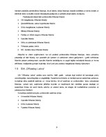 Referāts 'Profesionālo telpu uzkopšanas līdzekļu raksturojums', 9.