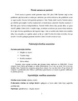 Prakses atskaite 'Aprūpes plāns. Internās slimības', 3.