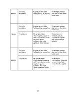 Prakses atskaite 'Aprūpes plāns. Internās slimības', 23.