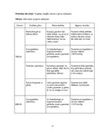 Prakses atskaite 'Aprūpes plāns. Internās slimības', 33.