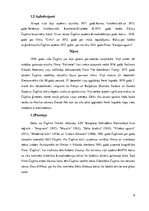 Referāts 'Čārlijs Čaplins un viņa sasniegumi kino', 6.