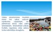 Prezentācija 'Hidrosfēras piesārņojumi', 7.
