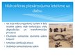 Prezentācija 'Hidrosfēras piesārņojumi', 9.