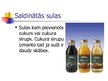 Prezentācija 'Augļu, ogu un dārzeņu sulas', 5.
