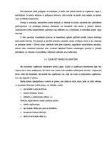 Referāts 'Klientu orientēta komunikācija', 8.