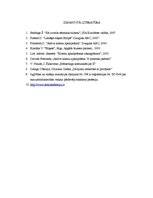 Referāts 'Klientu orientēta komunikācija', 14.