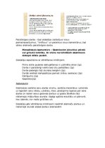 Prezentācija 'Konspekts mājturībā 6.klasei. Dekupāža', 3.