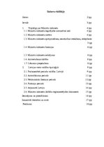 Referāts 'Ministru kabinets', 1.