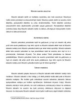 Referāts 'Ministru kabinets', 7.