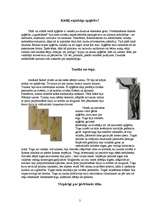 Referāts 'Antīkās Romas mode', 2.