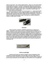 Referāts 'Antīkās Romas mode', 4.