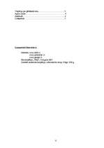 Referāts 'Antīkās Romas mode', 6.