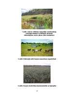 Referāts 'Grants un smilts karjeru rekultivācija', 10.