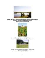 Referāts 'Grants un smilts karjeru rekultivācija', 11.