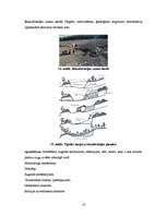 Referāts 'Grants un smilts karjeru rekultivācija', 13.