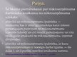 Prezentācija 'Mikrouzņēmums', 7.
