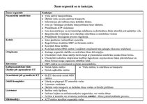 Konspekts 'Šūnas organoīdu funkcijas', 1.