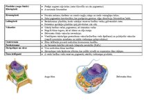 Konspekts 'Šūnas organoīdu funkcijas', 2.