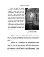 Referāts 'Pakuļu hidroelektrostacijas tehniskā stāvokļa novērtējums', 2.