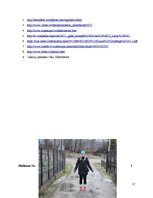 Referāts 'Pakuļu hidroelektrostacijas tehniskā stāvokļa novērtējums', 12.