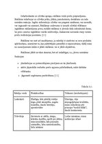 Referāts 'Mārketinga efektivitātes mērīšanas sistēmas', 11.