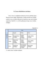Referāts 'Mārketinga efektivitātes mērīšanas sistēmas', 16.