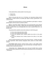 Konspekts 'Grāmatvedība', 5.