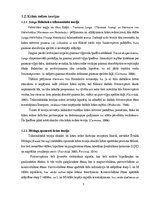 Diplomdarbs 'Iedzimtu krāsu redzes deficītu izvērtēšana ar Farnworth D15 testu', 8.