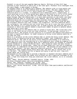 Eseja 'Explaining a Concept - Nickel Defense', 1.