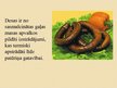 Prezentācija 'Gaļas pārstrādes produkti - desas', 3.