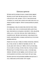 Referāts 'Neolīta laika apmetnes Latvijas teritorijā', 3.