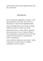 Referāts 'Neolīta laika apmetnes Latvijas teritorijā', 4.