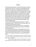 Referāts 'TCP/IP', 3.