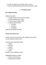 Referāts 'Darba ētiska organizēšana uzņēmumā', 2.