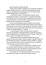 Prakses atskaite 'Profesionālā prakse tiesā', 7.