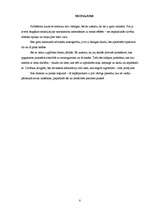 Prakses atskaite 'Profesionālā prakse tiesā', 8.