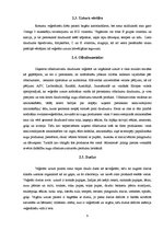 Referāts 'Veģetārisms', 9.