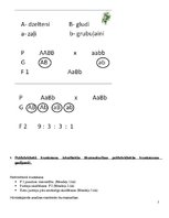 Konspekts 'Molekulārā bioloģija un ģenētika', 7.