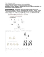 Konspekts 'Molekulārā bioloģija un ģenētika', 9.